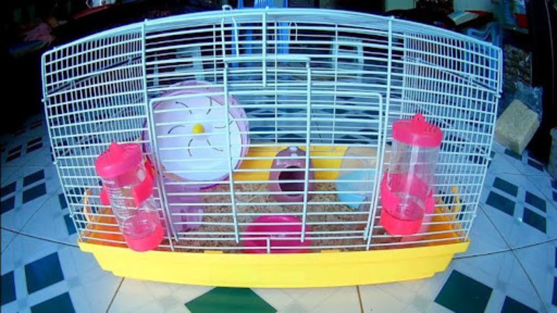 Có nên nuôi Hamster trong phòng ngủ bằng chuồng sắt không