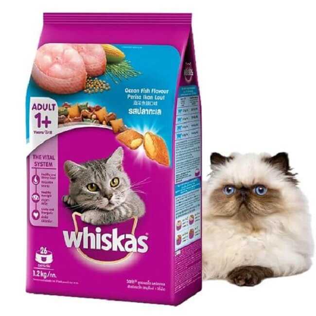 Các loại thức ăn ướt cho mèo Whiskas nổi tiếng