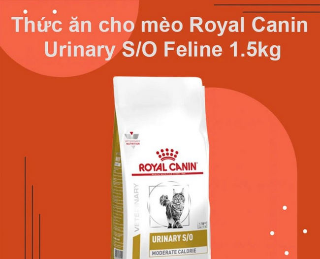 Loại hạt cho mèo bị thận trên thị trường Việt Nam - Royal Canin Urinary S/O